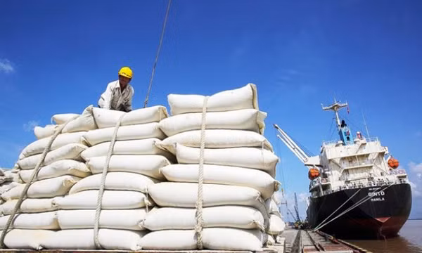 Gắn gạo Việt Nam vào chuỗi cung ứng toàn cầu để phát triển bền vững