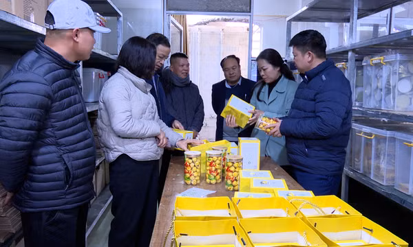 HĐND tỉnh giám sát về quản lý Nhà nước lĩnh vực an toàn thực phẩm tại huyện Ba Chẽ