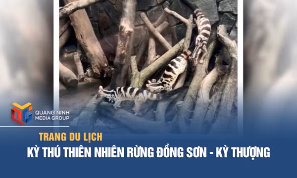 Kỳ thú thiên nhiên rừng Đồng Sơn - Kỳ Thượng