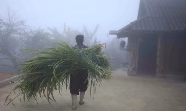 Bắc Bộ sương mù lúc sáng sớm, nhiệt độ trong ngày cao nhất từ 24-26 độ C