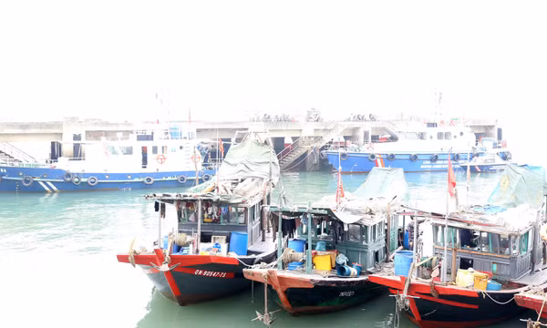 Hạ Long: Tiếp tục bắt giữ 3 tàu cá khai thác thủy sản trái phép