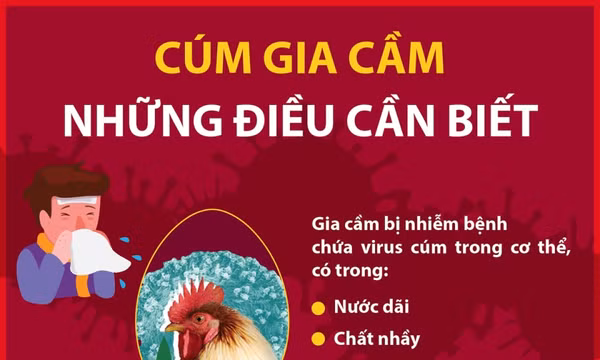 Những điều cần biết để phòng tránh bệnh cúm gia cầm
