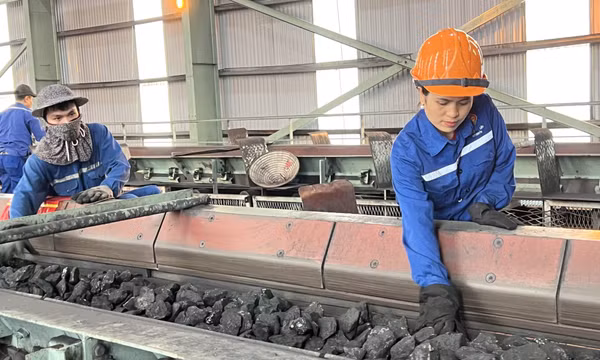 Công ty Tuyển than Hòn Gai đẩy mạnh thi đua lao động sản xuất