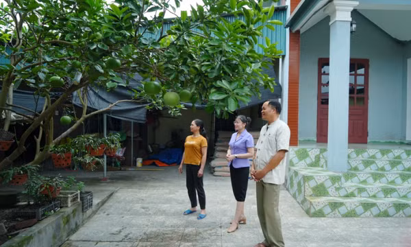 Đông Triều: Phát huy vai trò các chi bộ thôn, khu
