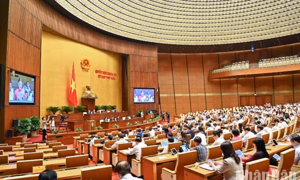 Đại biểu Quốc hội kiến nghị thanh tra toàn diện hoạt động bảo hiểm nhân thọ