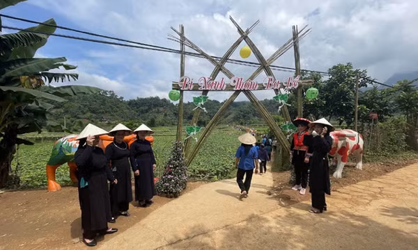 Bản tin vùng Đông Bắc ngày 11/5/2023	