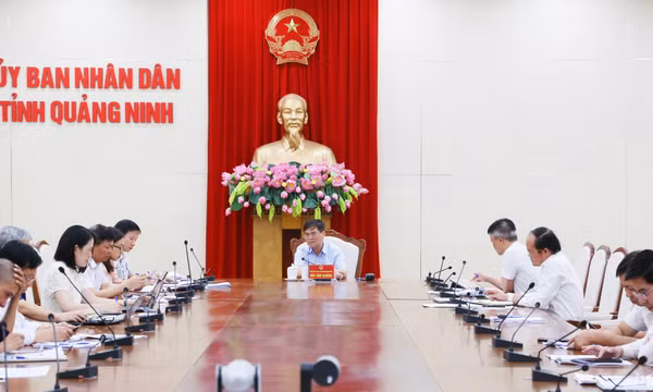 UBND tỉnh cho ý kiến đối với Đề án thí điểm mô hình kinh tế ban đêm trên địa bàn tỉnh