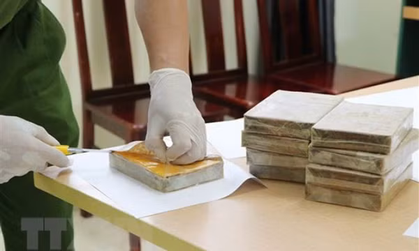 'Tránh đổ máu và mất người khi đấu tranh với tội phạm ma túy'