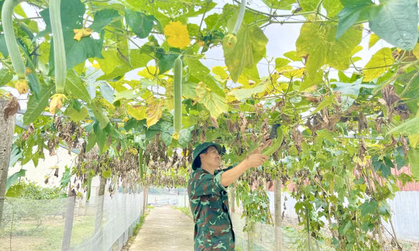 Sáng mãi phẩm chất Bộ đội Cụ Hồ