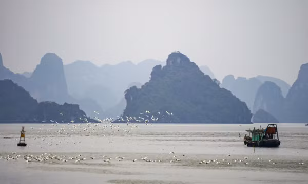 “Nâng cao nhận thức là vô cùng quan trọng trong bảo tồn các loài chim hoang dã”