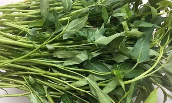 Hai loại rau giúp thanh nhiệt, giải độc