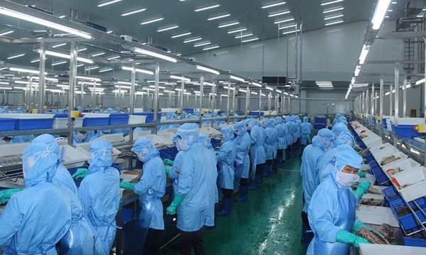 Gỡ khó cho xuất khẩu thủy sản