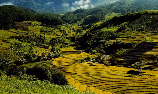 Đến Kon Tum, ngắm mùa lúa chín đẹp mơ màng ở Đăk Na