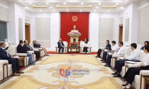 Phó Chủ tịch UBND tỉnh tiếp xã giao Thị trưởng thành phố Nevers, Cộng hòa Pháp