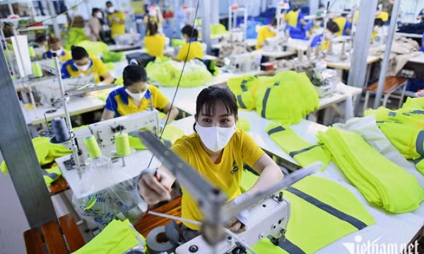 Nhiều lao động đóng bảo hiểm 30 năm nhưng lương hưu chỉ 2,5-3 triệu đồng