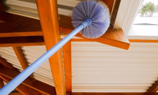5 cách làm sạch mạng nhện hiệu quả, nhanh chóng