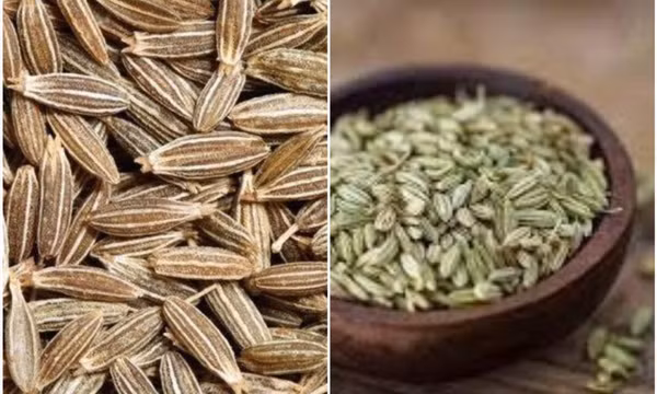 Cách giảm rụng tóc bằng hạt thì là