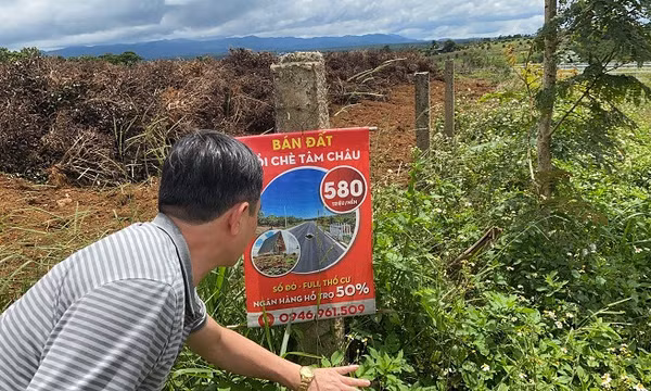 Sổ đỏ giả "qua mặt" cả công chứng bán với giá 50 triệu đồng