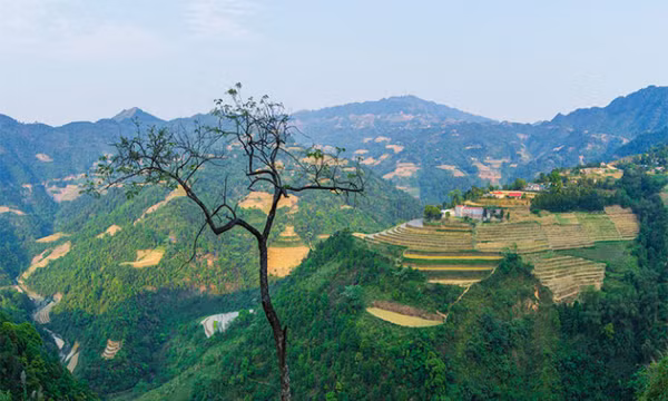 Chiêm ngưỡng ruộng bậc thang Mẫu Sơn mùa nước đổ