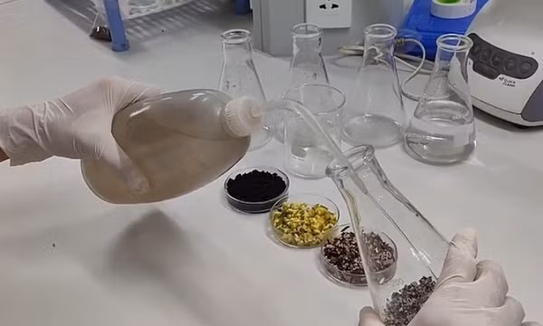 Sinh viên làm thuốc trừ sâu từ hạt mãng cầu, thầu dầu