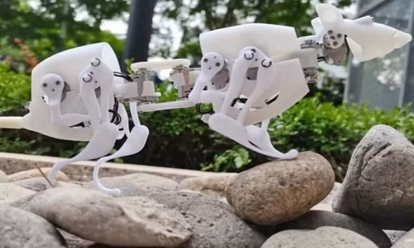 Chuột robot tìm người sống sót ở vùng thiên tai
