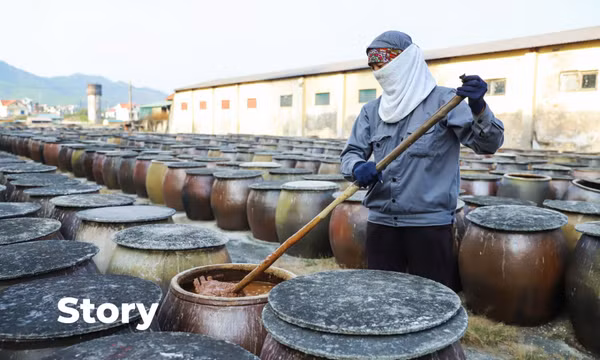 Mặn mòi vị biển quê hương