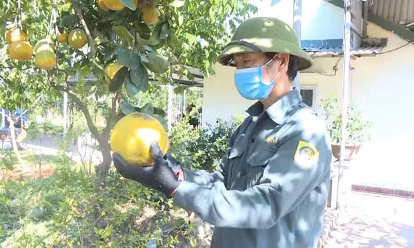 Hiệu quả từ mô hình vườn mẫu