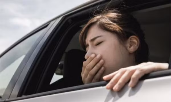 Các thuốc chống say tàu xe hiệu quả