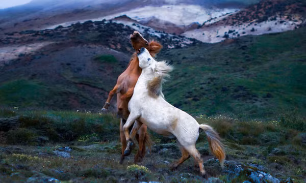 Tiên cảnh ở Iceland