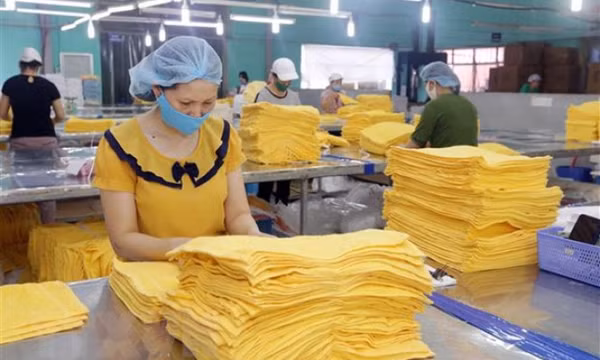 Chuyên gia WB: Việt Nam có thể là nước hưởng lợi nhiều nhất từ RCEP