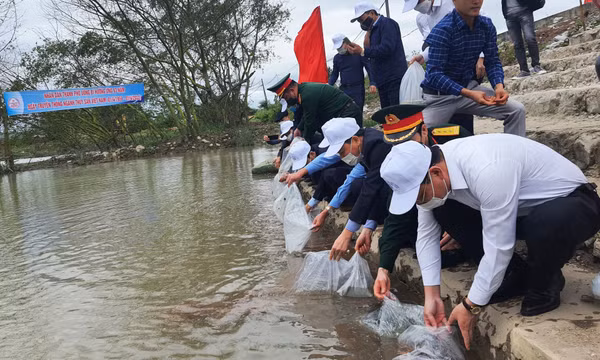 Quảng Ninh: Thả tôm, cá giống tái tạo nguồn lợi thủy sản