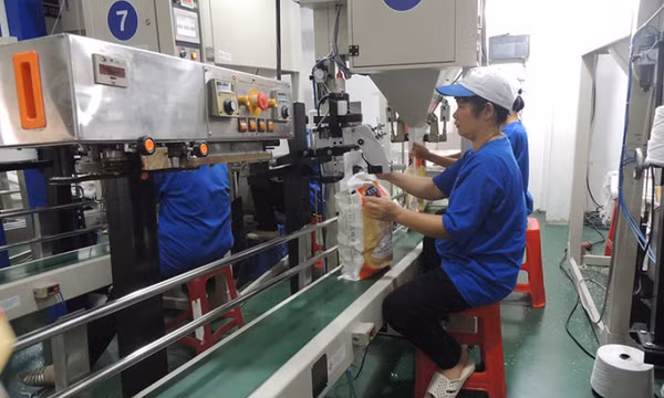 Gạo Việt Nam ghi dấu ấn về chất lượng