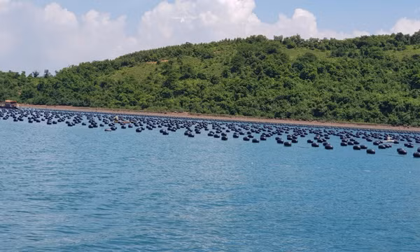 Người tiên phong sử dụng phao HDPE trong nuôi trồng thủy sản