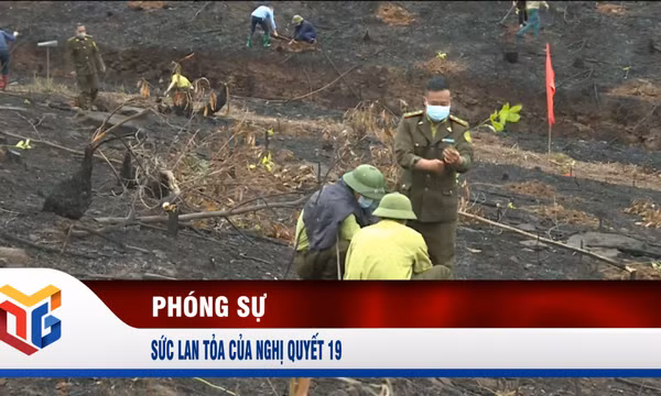Sức lan tỏa của Nghị quyết 19
