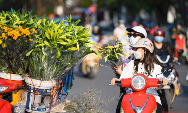 Tháng tư mùa hoa loa kèn tinh khôi xuống phố Hà Nội