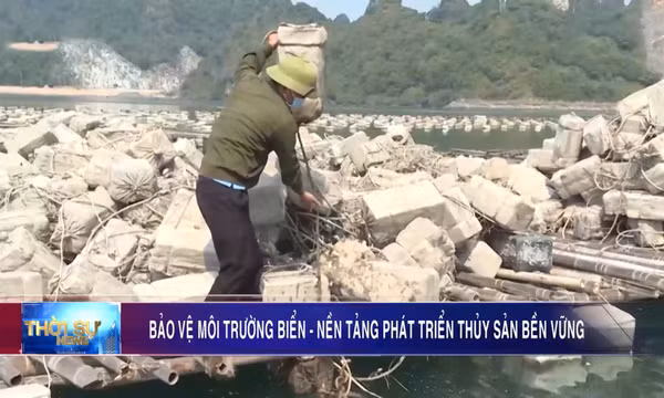 Bảo vệ môi trường biển - nền tảng phát triển thủy sản bền vững