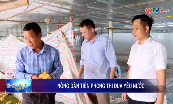 Nông dân tiên phong thi đua yêu nước