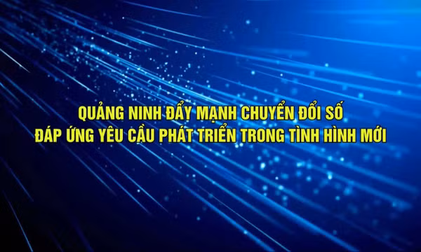 Quảng Ninh đẩy mạnh chuyển đổi số đáp ứng yêu cầu phát triển trong tình hình mới