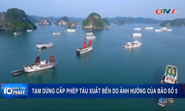 Tạm ngừng cấp phép tàu do ảnh hưởng của bão số 5