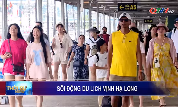 Vịnh di sản: Điểm du lịch yêu thích mùa hè