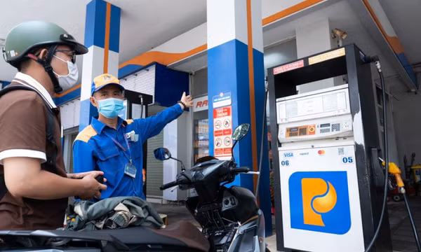 Xăng sinh học: Đã đánh giá tác động kỹ lưỡng