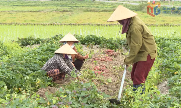 Khơi dậy sức dân trong xây dựng nông thôn mới