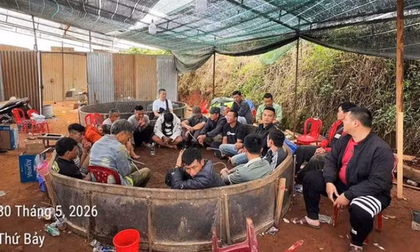 Triệt phá tụ điểm đá gà ăn tiền tại phường Lâm Viên - Đà Lạt, bắt giữ hơn 20 đối tượng