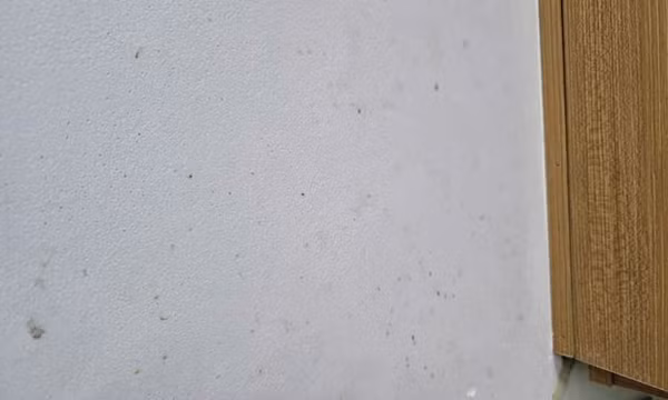 3 lý do khiến tường bếp luôn bị bẩn và ẩm mốc