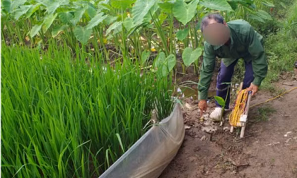 Khởi tố người đàn ông giăng điện bẫy chuột khiến người khác tử vong ở Ninh Bình