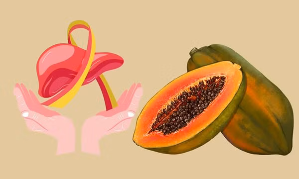 Bật mí cách giải độc gan tại nhà ai cũng làm được