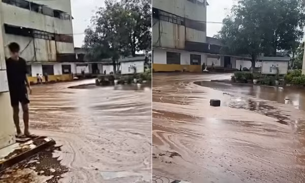 Sét đánh trúng nhà máy đường, hàng ngàn tấn mật tràn ra ngoài