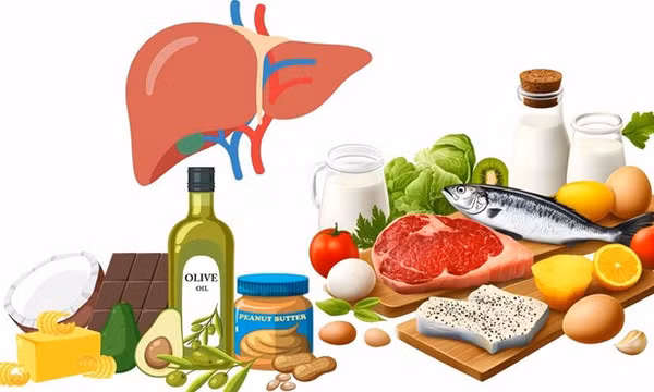 Bổ sung đúng protein và chất béo giúp bảo vệ gan
