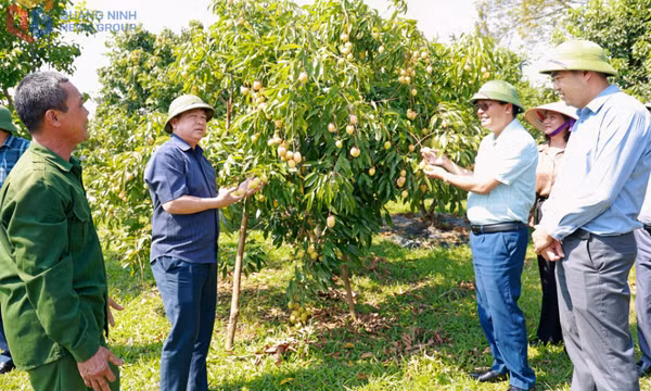Từ “đạt chuẩn” đến nâng cao chất lượng sống vùng nông thôn