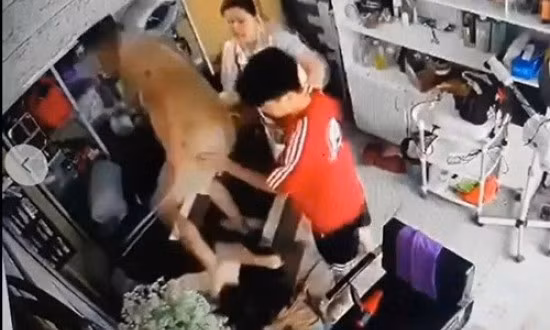 Tạm giữ 2 anh em xông vào tiệm cắt tóc hành hung người mẹ ôm con nhỏ